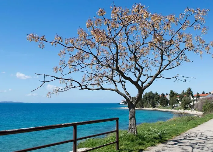 Lejlighed Fontana Felicita - Near The Kolovare